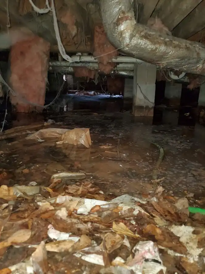 Crawl space flood assessment for Leak Detection & Repair in Norwich